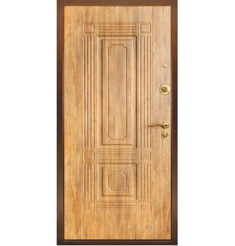 Антивандальная дверь TR-2381