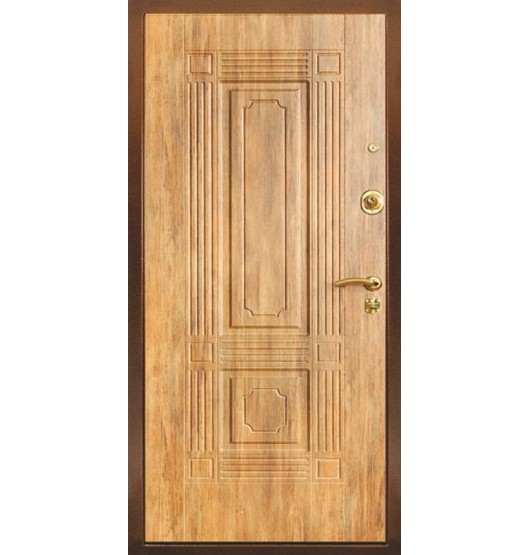 Антивандальная дверь TR-2381