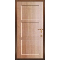 Антивандальная дверь TR-2382