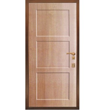 Антивандальная дверь TR-2382