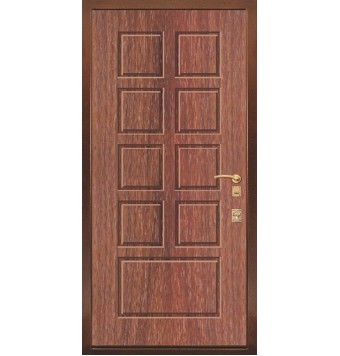 Антивандальная дверь TR-2394