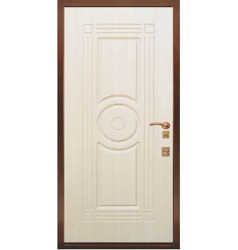 Антивандальная дверь TR-2390