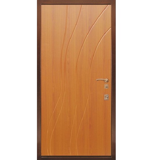 Дачная дверь TR-5143