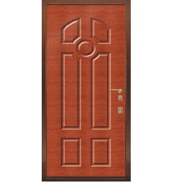 Дачная дверь TR-5144