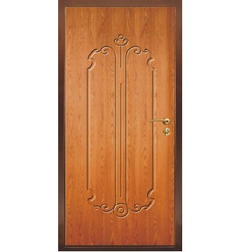 Дачная дверь TR-5134