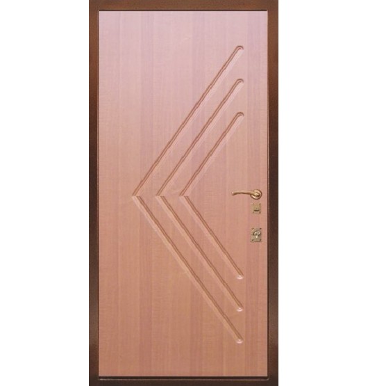 Дачная дверь TR-5138