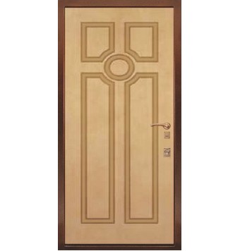 Дачная дверь TR-5149