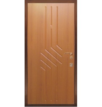 Дверь в коттедж TR-4141