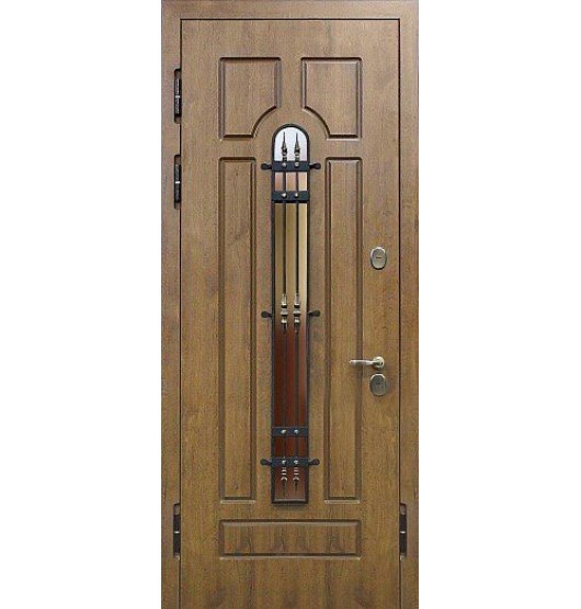 Металлическая дверь TR-4715