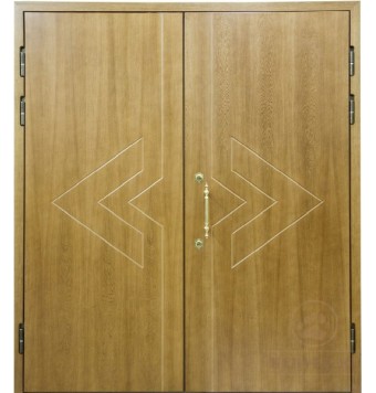 Подъездная дверь TR-3367