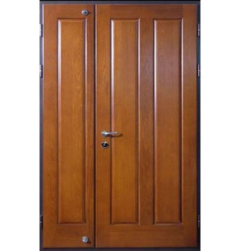 Тамбурная дверь TR-3264