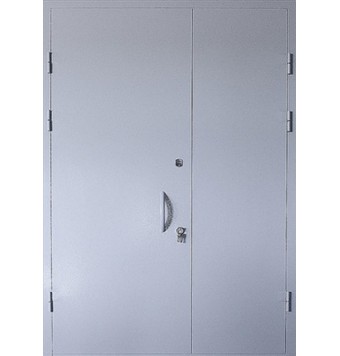 Тамбурная дверь TR-3257