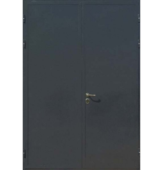Техническая дверь TR-3333
