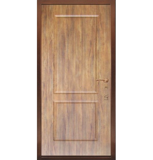 Входная утепленная дверь TR-5371