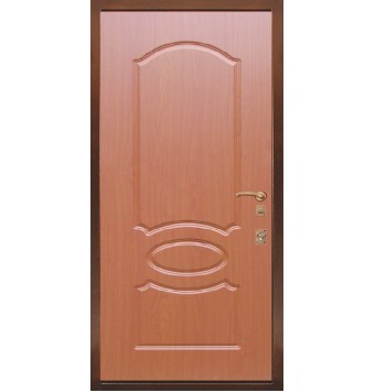 Входная утепленная дверь TR-5372