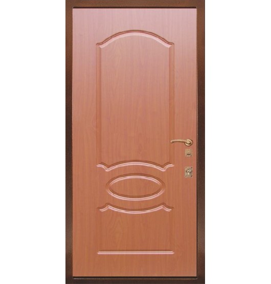 Входная утепленная дверь TR-5372