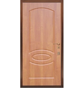 Входная утепленная дверь TR-5373