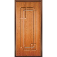 Входная утепленная дверь TR-5363